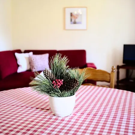 Apartamento Appartementhaus Habich